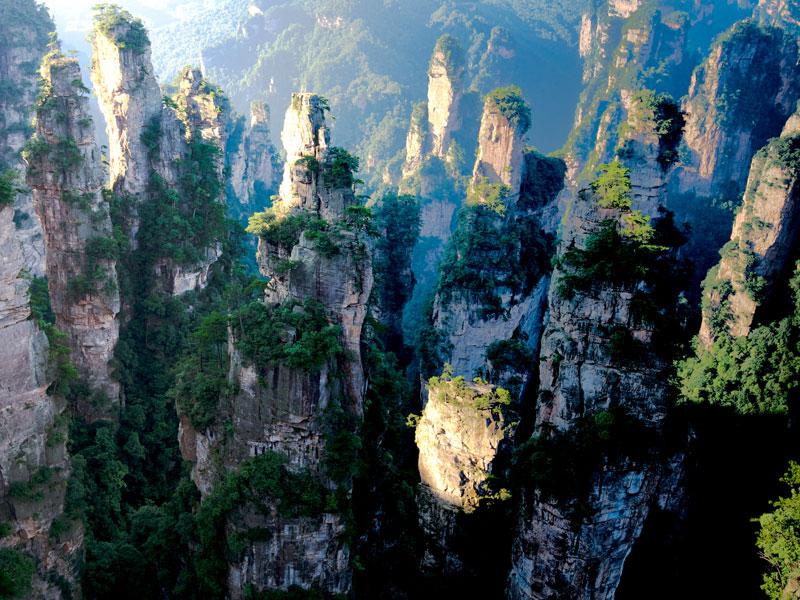 le parc national forestier de Zhangjiajie