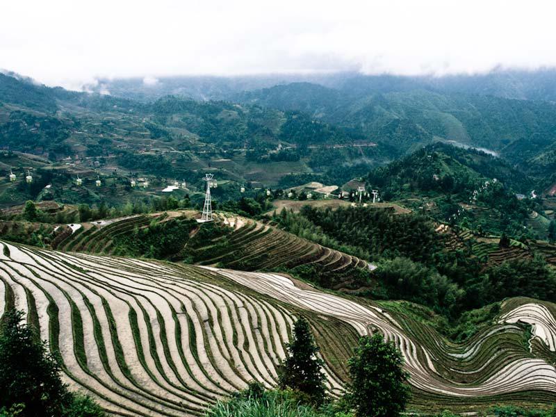 rizières en terrasses de Longsheng