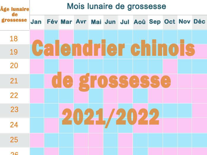 Calendrier Chinois Grossesse 2023 / 2024