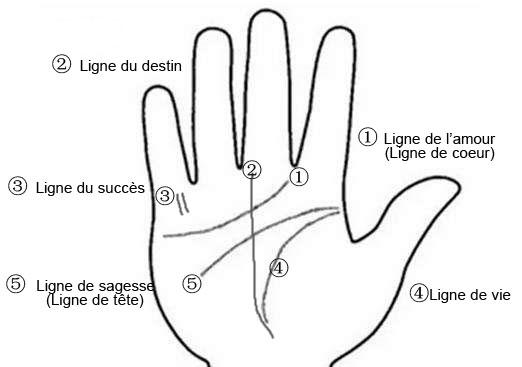 Comment lire les lignes de la main ? - Guide rapide et gratuit pour  interpréter les cinq lignes de votre main