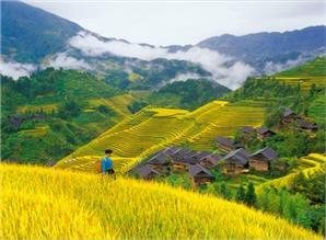Des rizières en terrasses de Longji